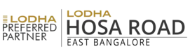 Website Logo